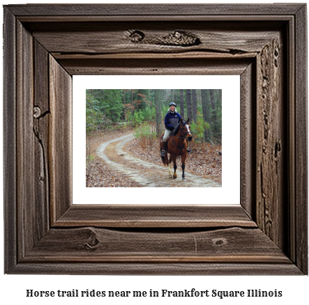 horse trail rides near me in Frankfort Square, Illinois